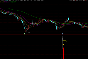 大黑鲨竞价副选指标 适合9点25竞价使用 信号当天不变 评测胜率89%手机通用