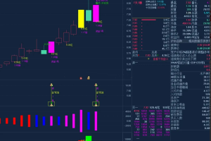 叶梵宸金钻指标《灯塔竞价+七宝妙树 资金1号+龙年1号池》指标包括四套J钻指标，四合一终极版本