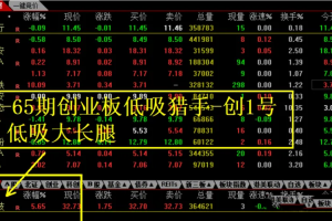 通达信【创业板竞价低吸猎手】创1号低吸大长腿竞价版面一键选股与排序 仅限电脑使用不可回测