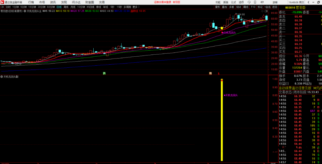 堪比金钻的指标【天机龙回头】牛市常见形态，胜率高