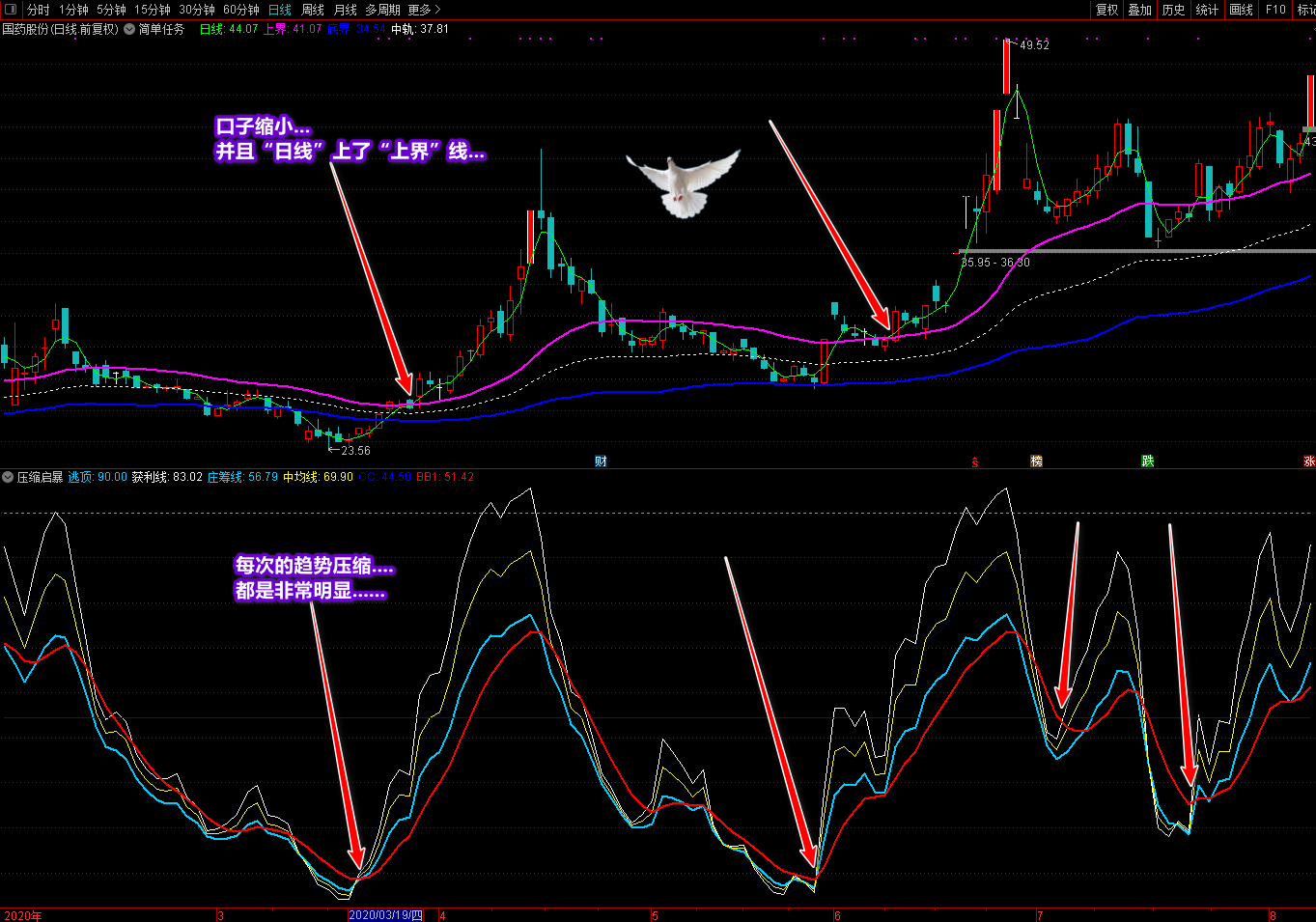 廷进简单任务+压缩启暴通达信指标，为你解析出因并保驾护航