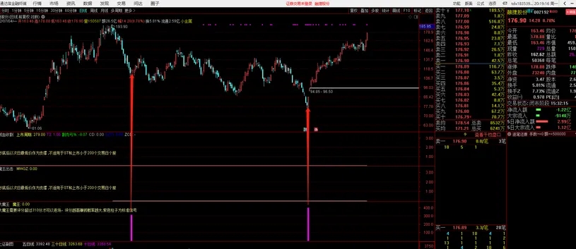 沂蒙路《残血收割抄底系统》无未来不漂移通达信指标胜率最高95.6